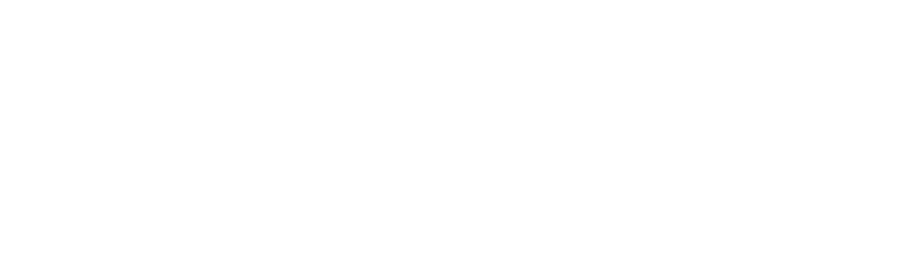 Logo PLUNI
